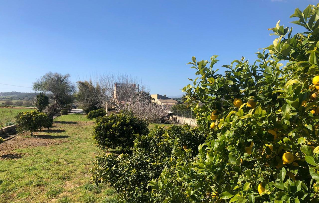 Son Roig ,lugar idílico,en el corazón de Mallorca Maria De La Salut Exterior foto