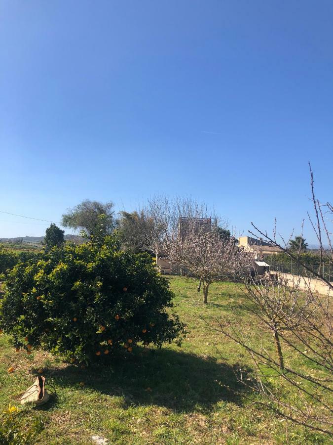 Son Roig ,lugar idílico,en el corazón de Mallorca Maria De La Salut Exterior foto